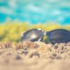 Thumbnail of related posts 145